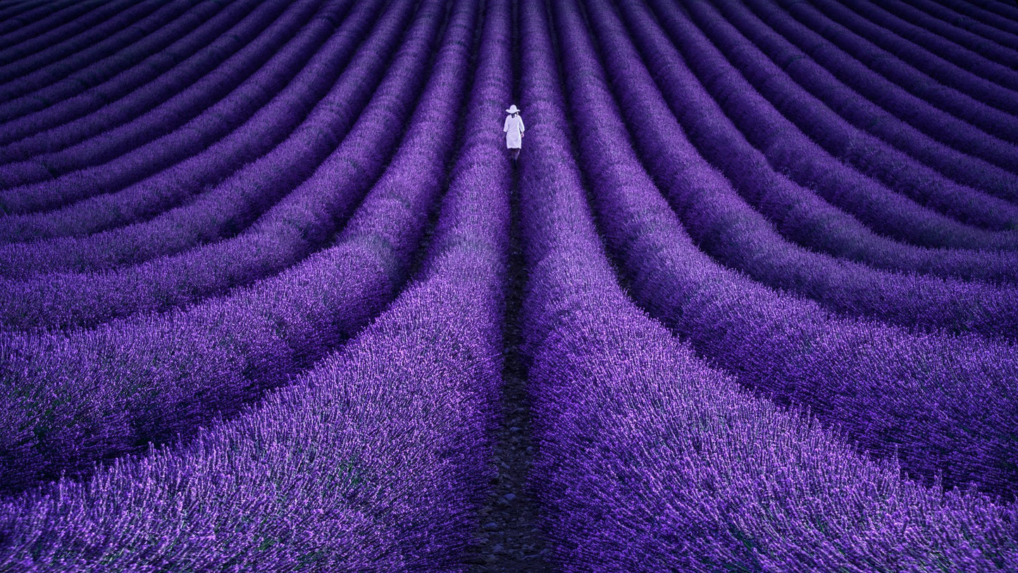 SHE - Poster / Art Print