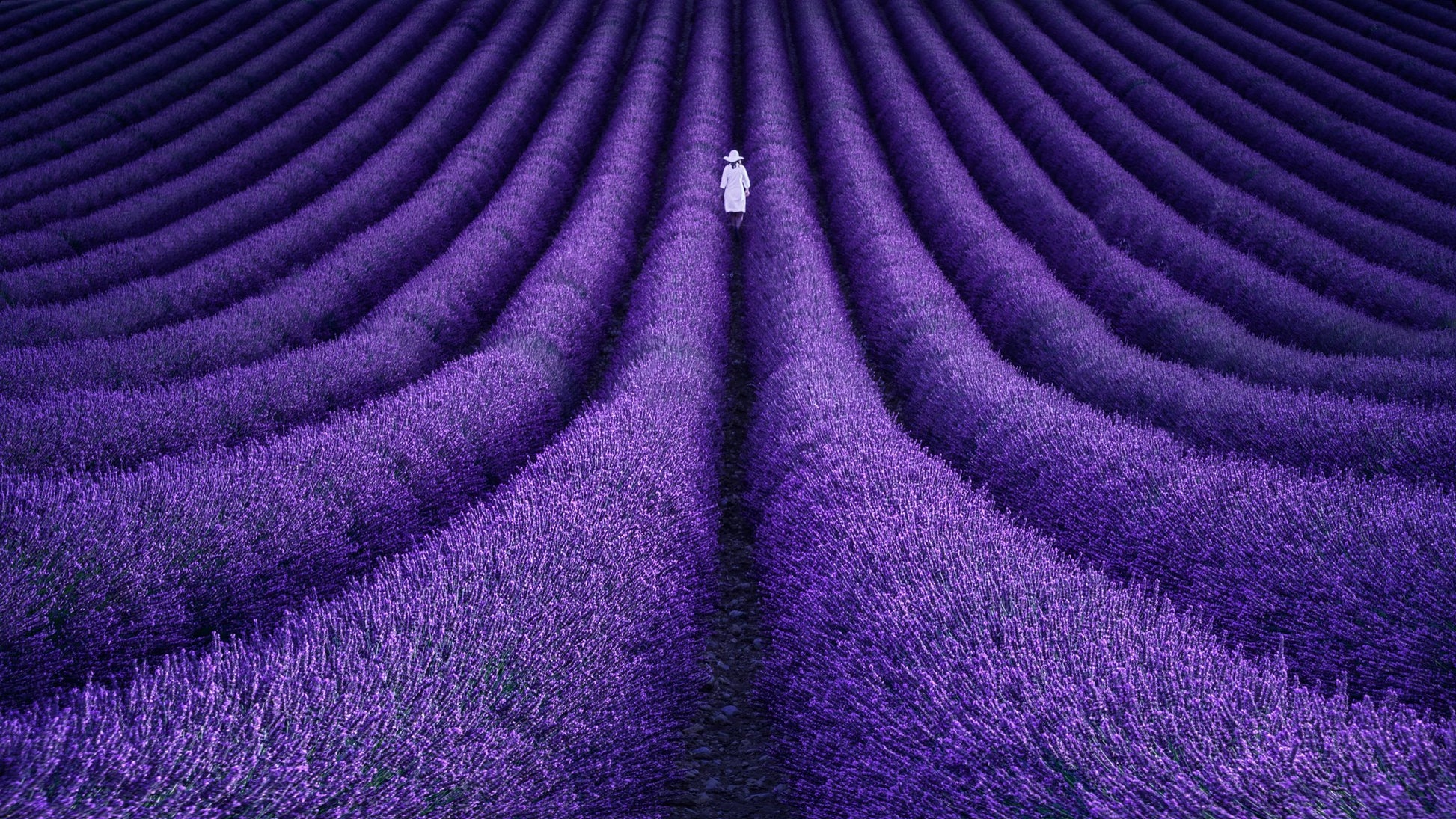 SHE - Poster / Art Print