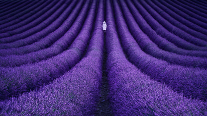 SHE - Poster / Art Print