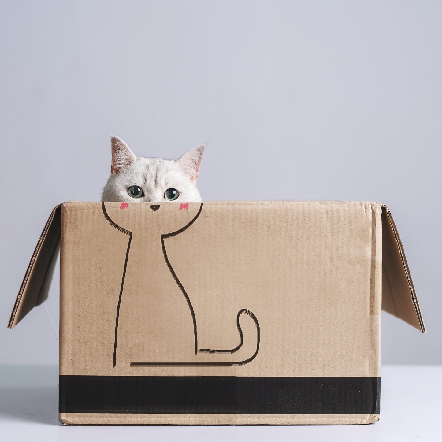 Cat in the box - Poster / Art Print