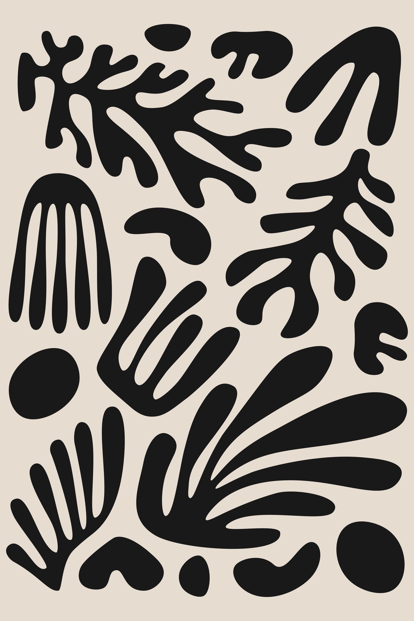 Henri Matisse Black Algae Collection #3 - Poster / Art Print