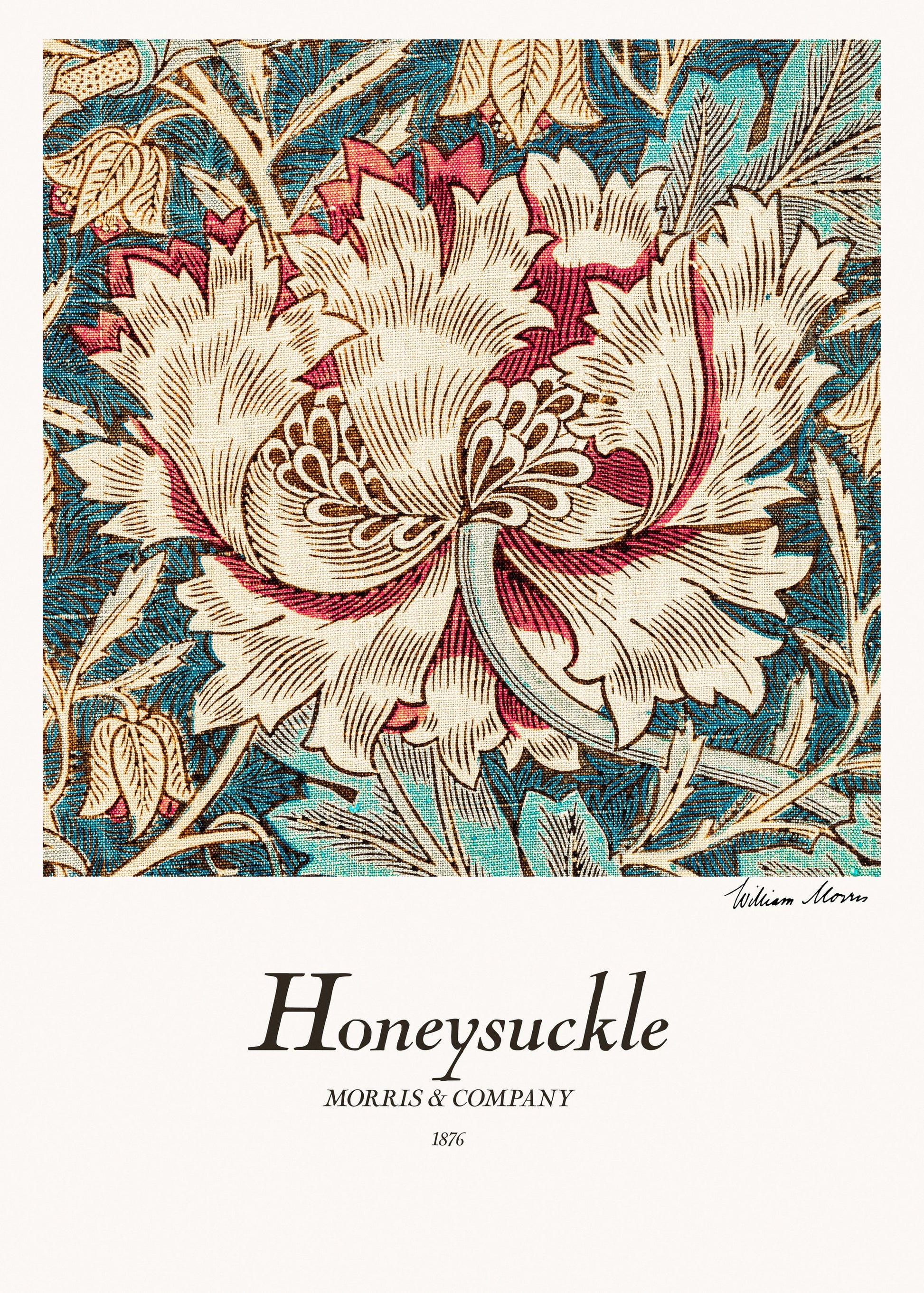 Honeysuckle - Poster / Art Print