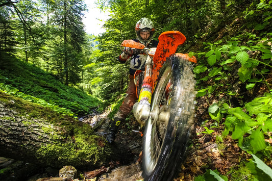 Carpath Enduro - Poster / Art Print