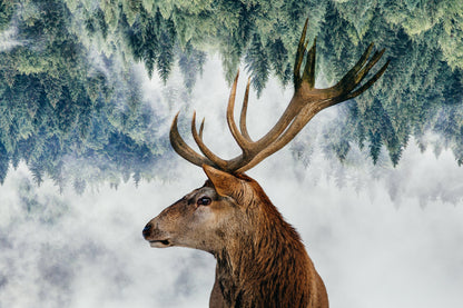 The Deer and the woods - Poster / Art Print
