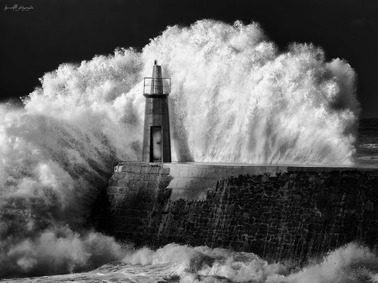 The lighthouse - Poster / Art Print