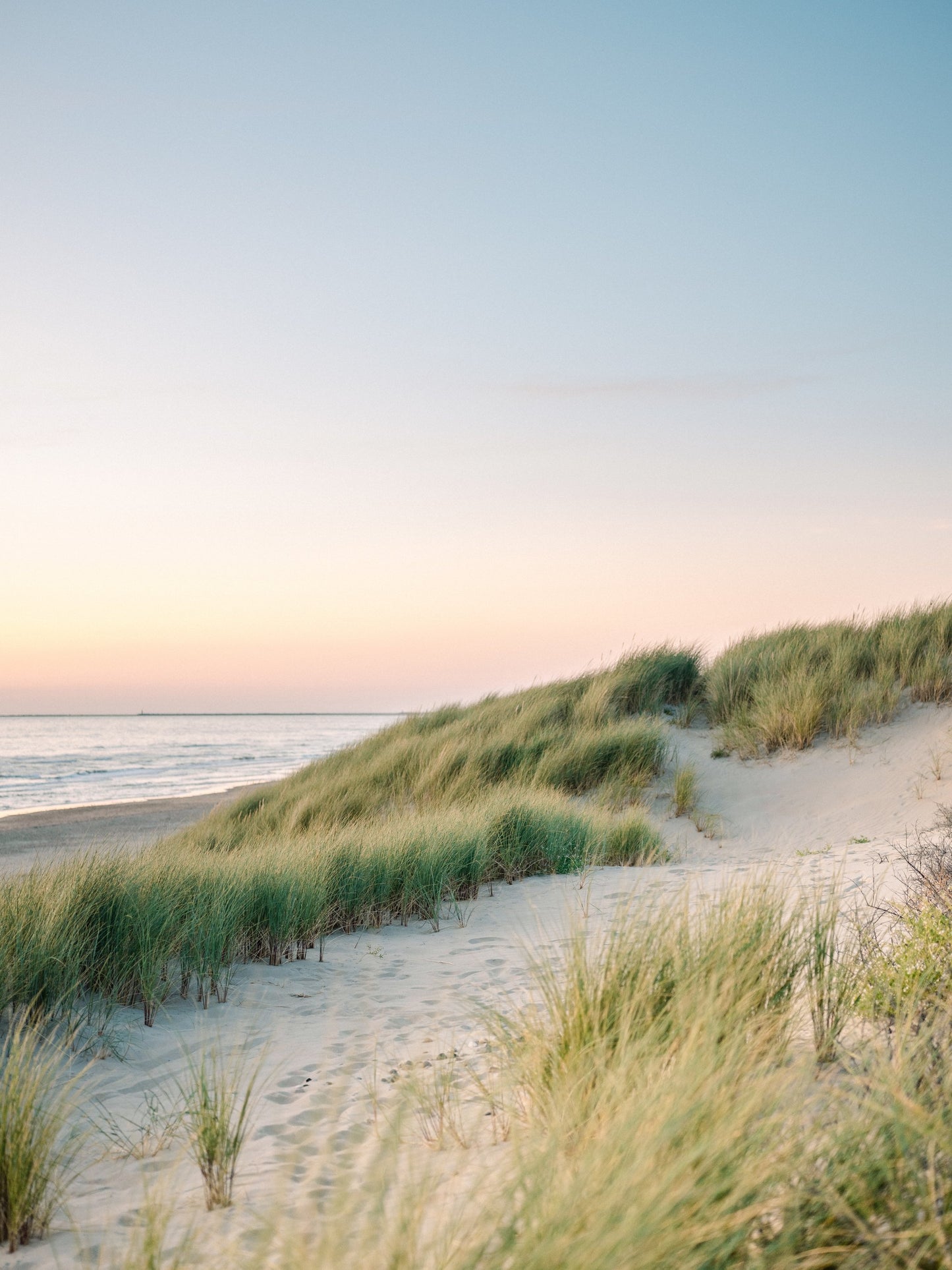 Dutch Dunes - Poster / Art Print
