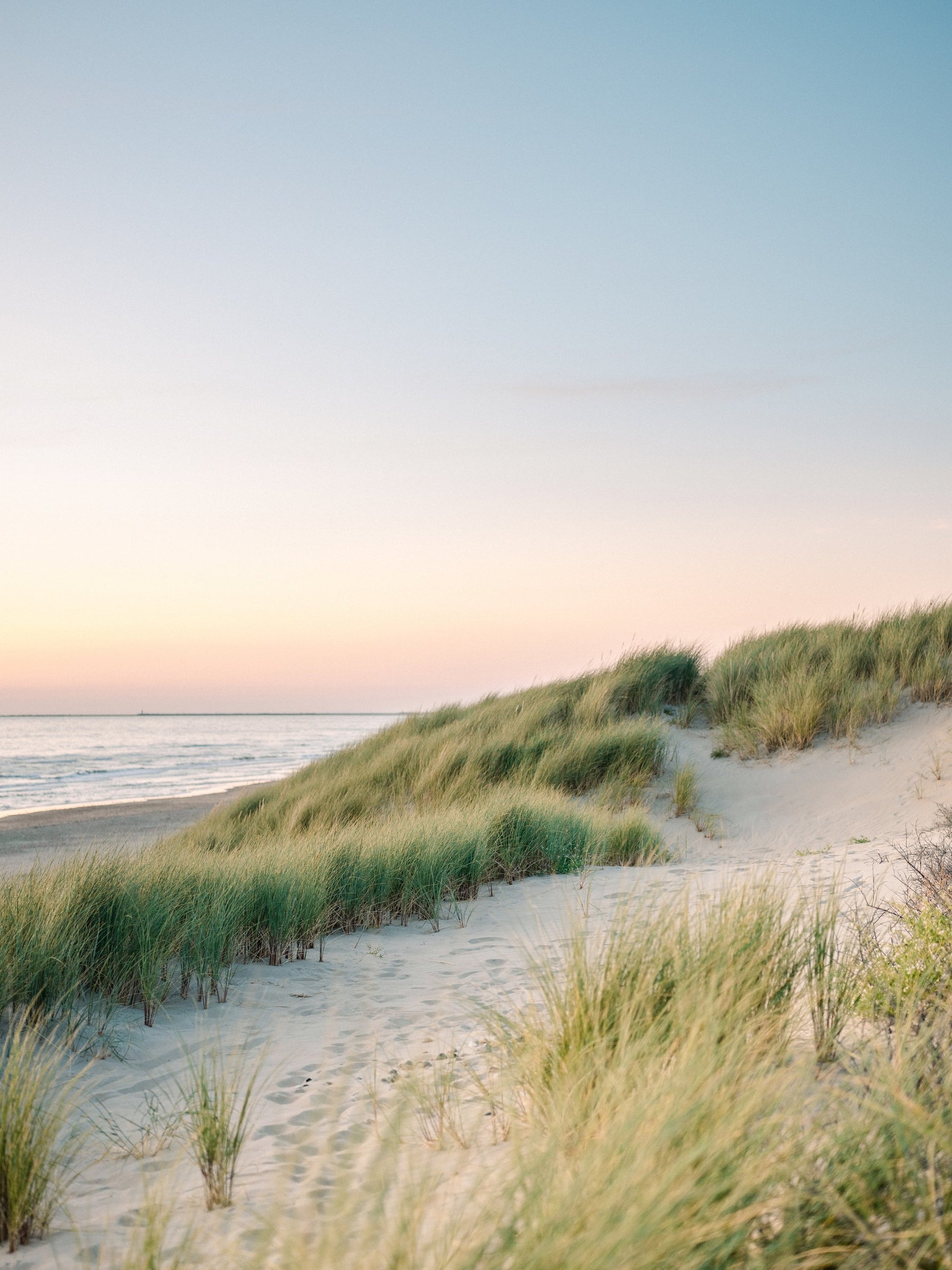 Dutch Dunes - Poster / Art Print