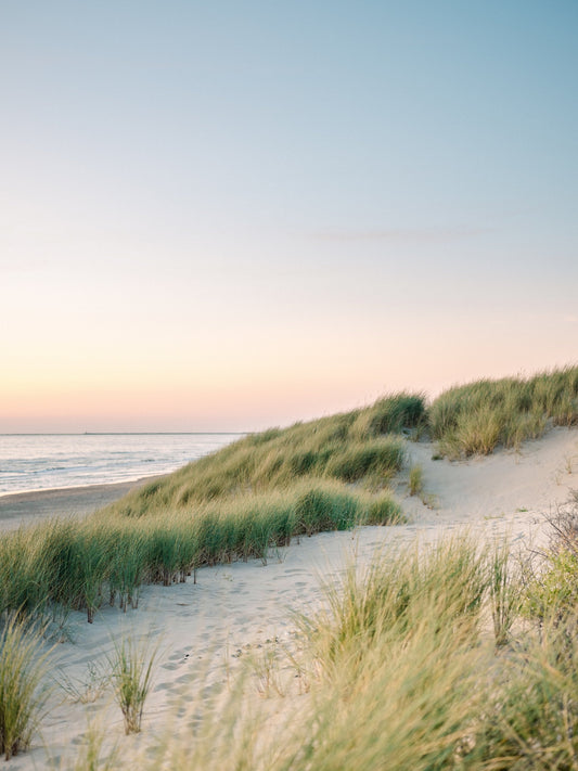 Dutch Dunes - Poster / Art Print