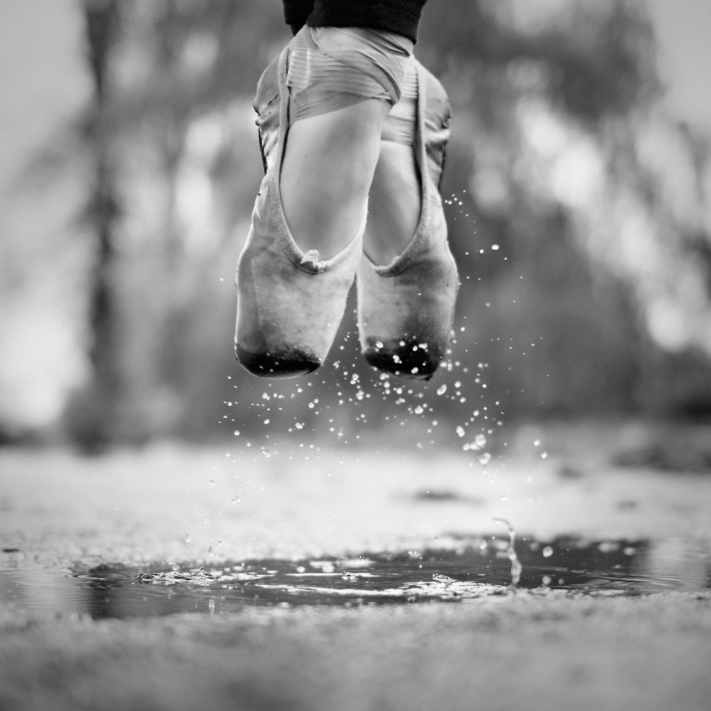 The day we went jumping in puddles - Poster / Art Print