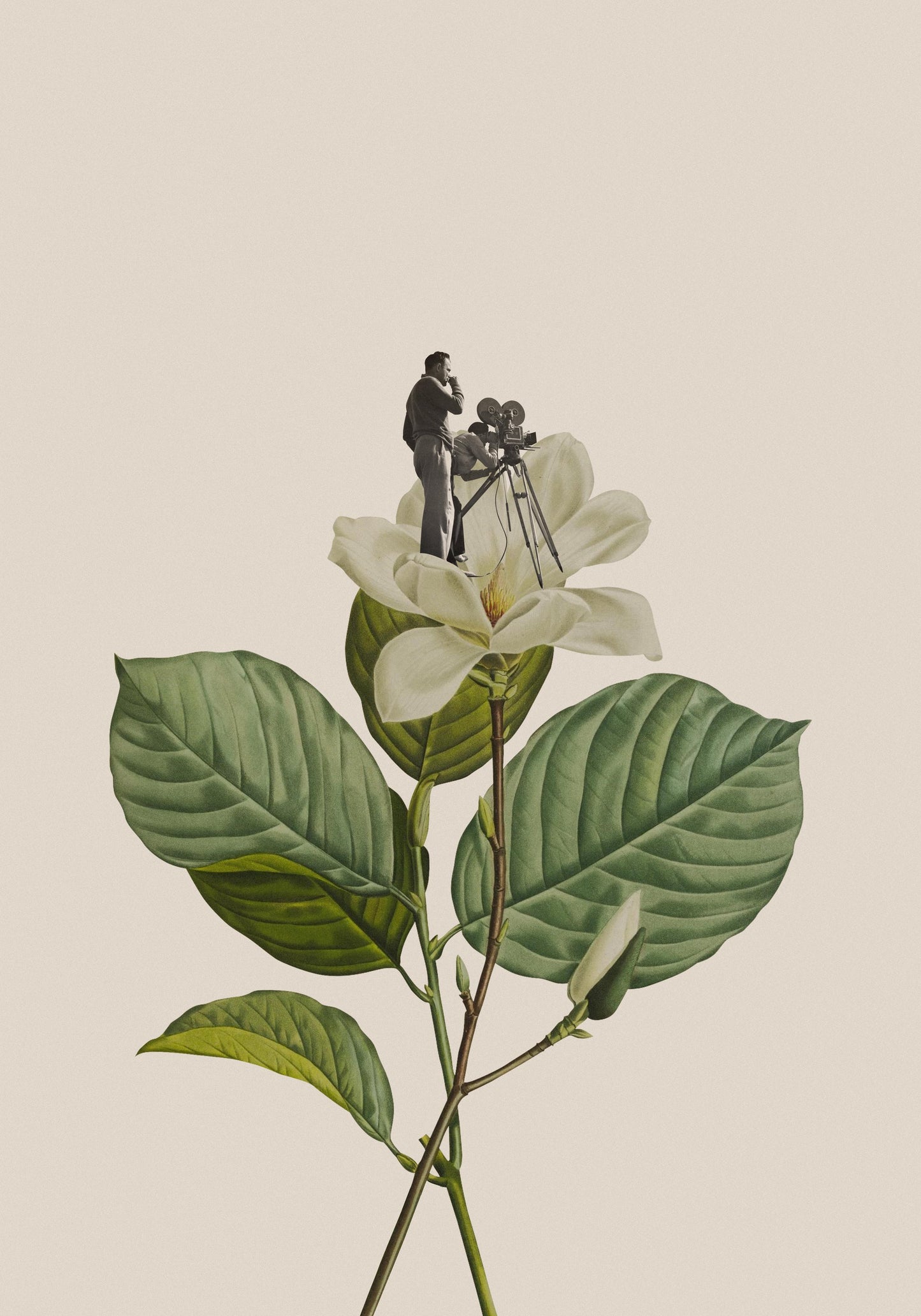 Botanical vintage cameraman - Poster / Art Print