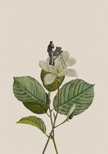 Botanical vintage cameraman - Poster / Art Print