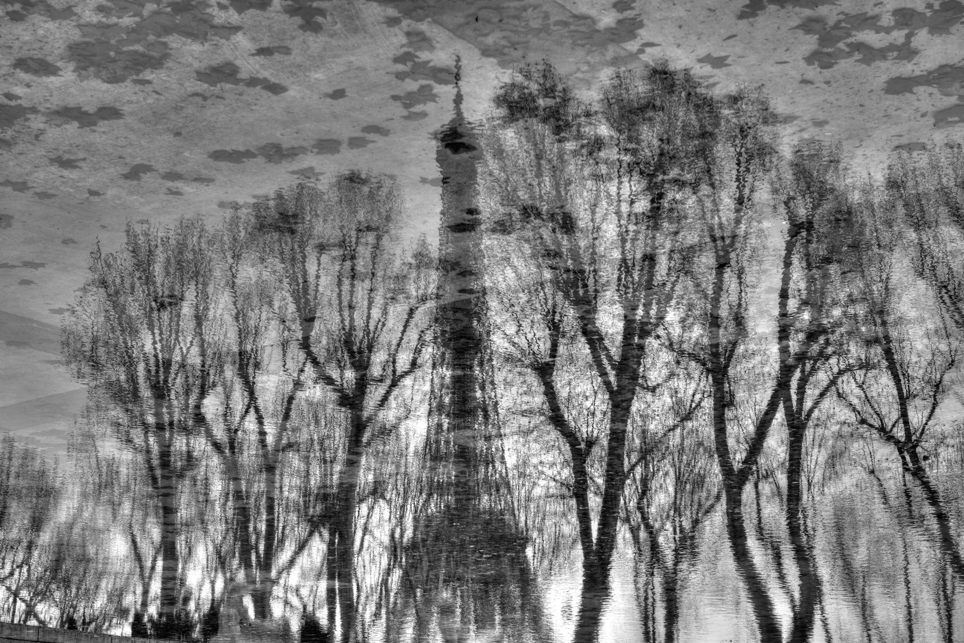 Reflection - Poster / Art Print