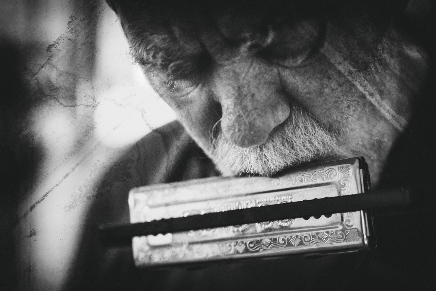 Wolf with harmonica - Poster / Art Print