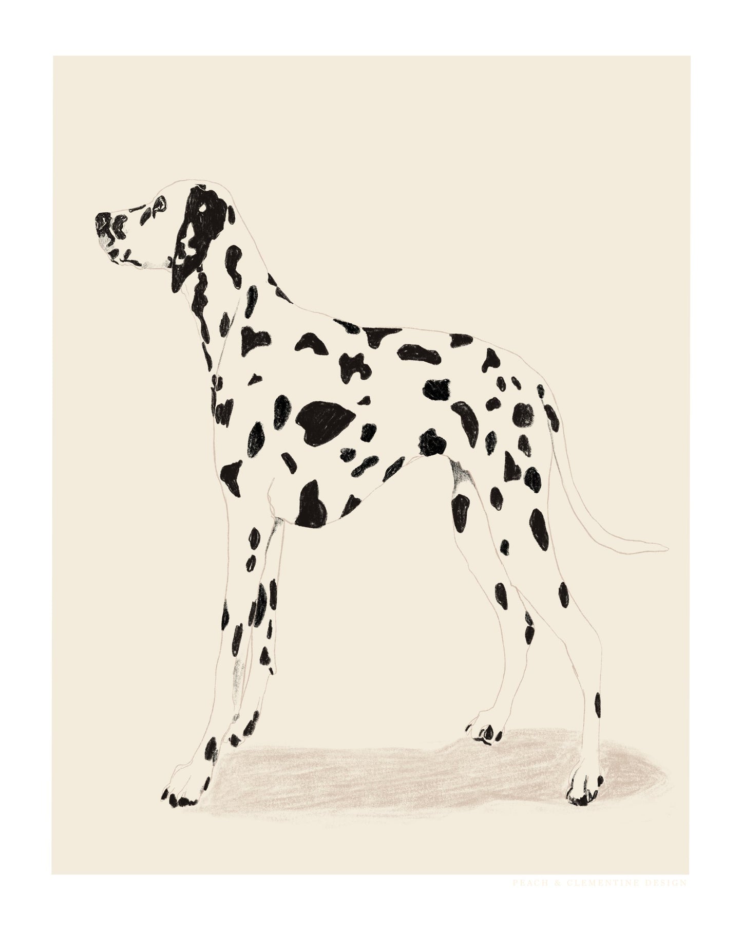 Pandc Dalmation - Poster / Art Print