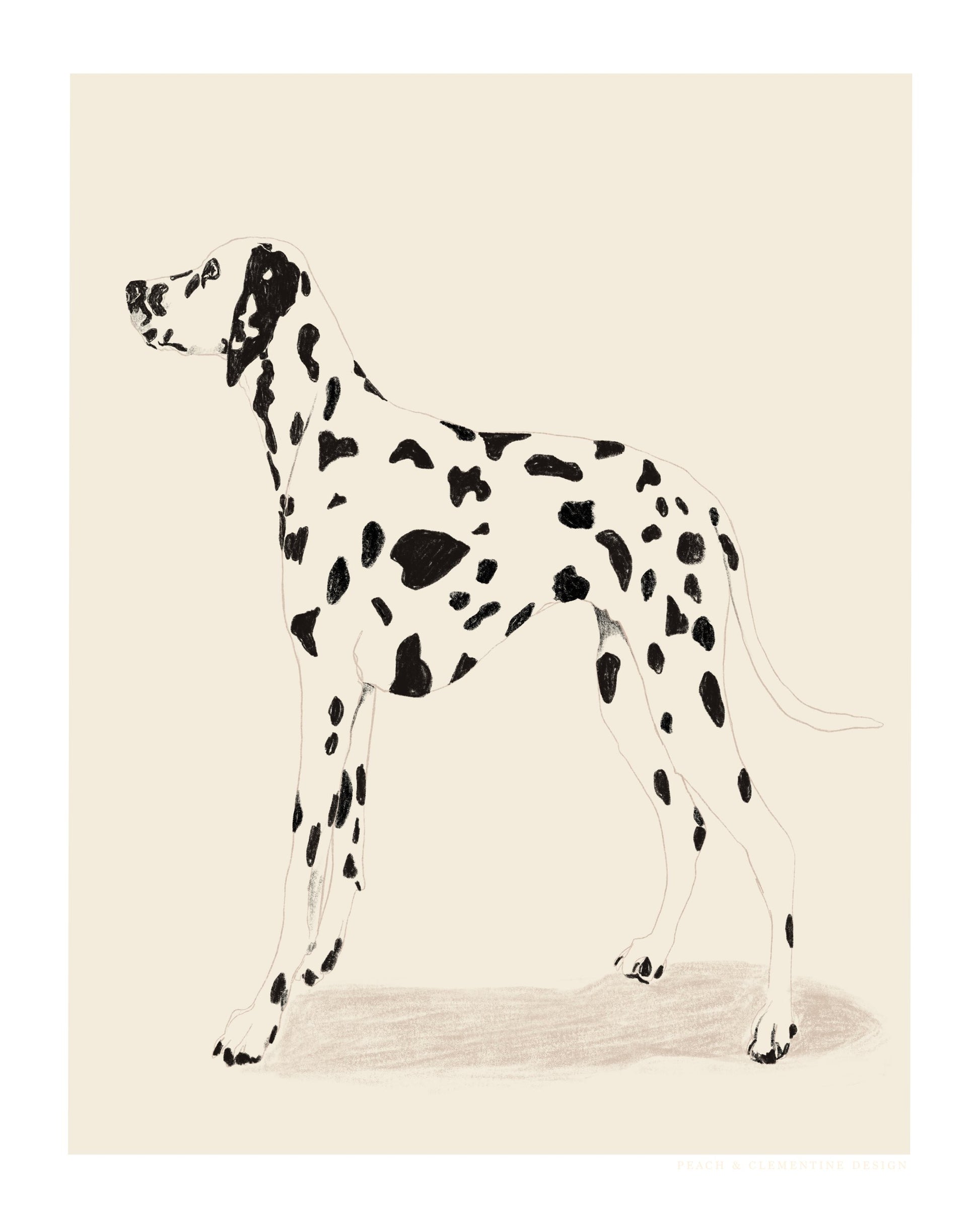 Pandc Dalmation - Poster / Art Print