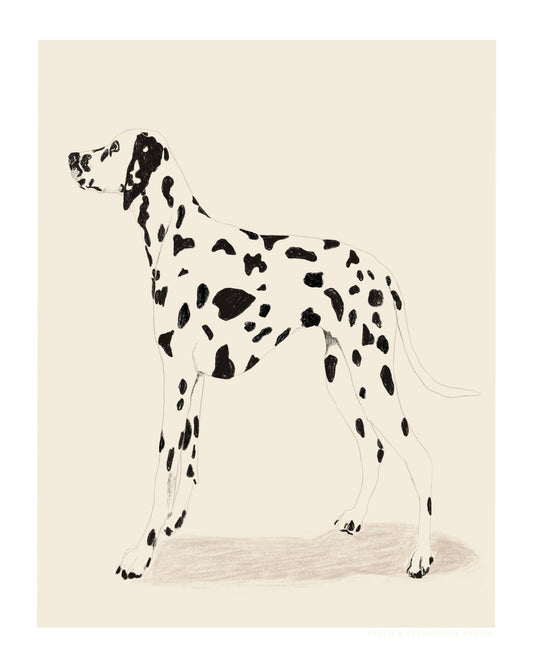Pandc Dalmation - Poster / Art Print