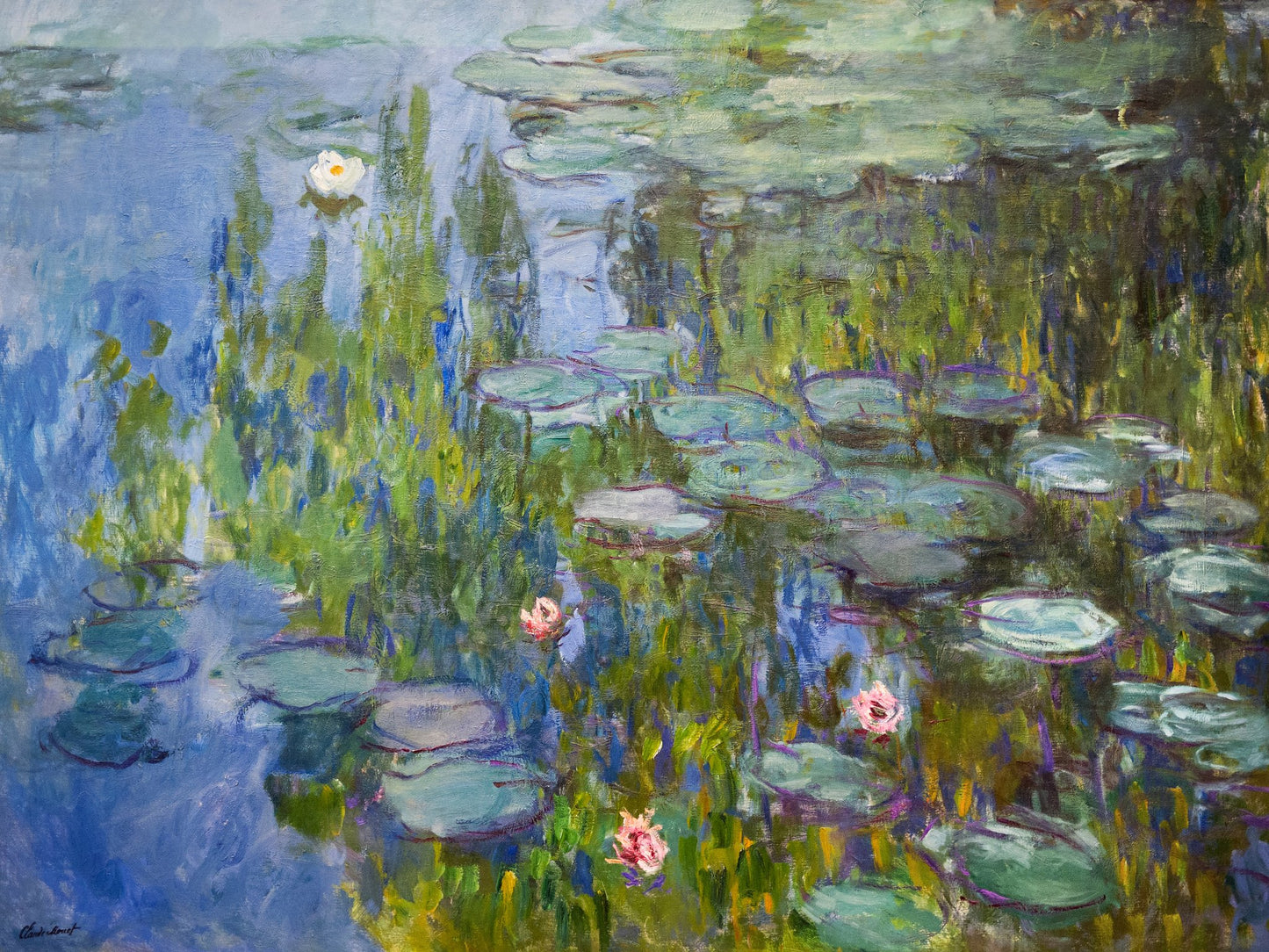 Claude Monet's Water Lilies (1915) - Poster / Art Print