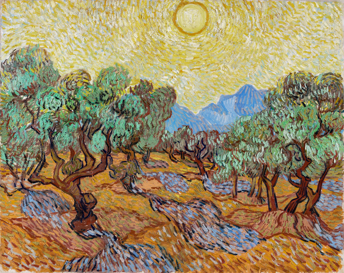 Vincent Van Gogh's Olive Trees (1889) - Poster / Art Print