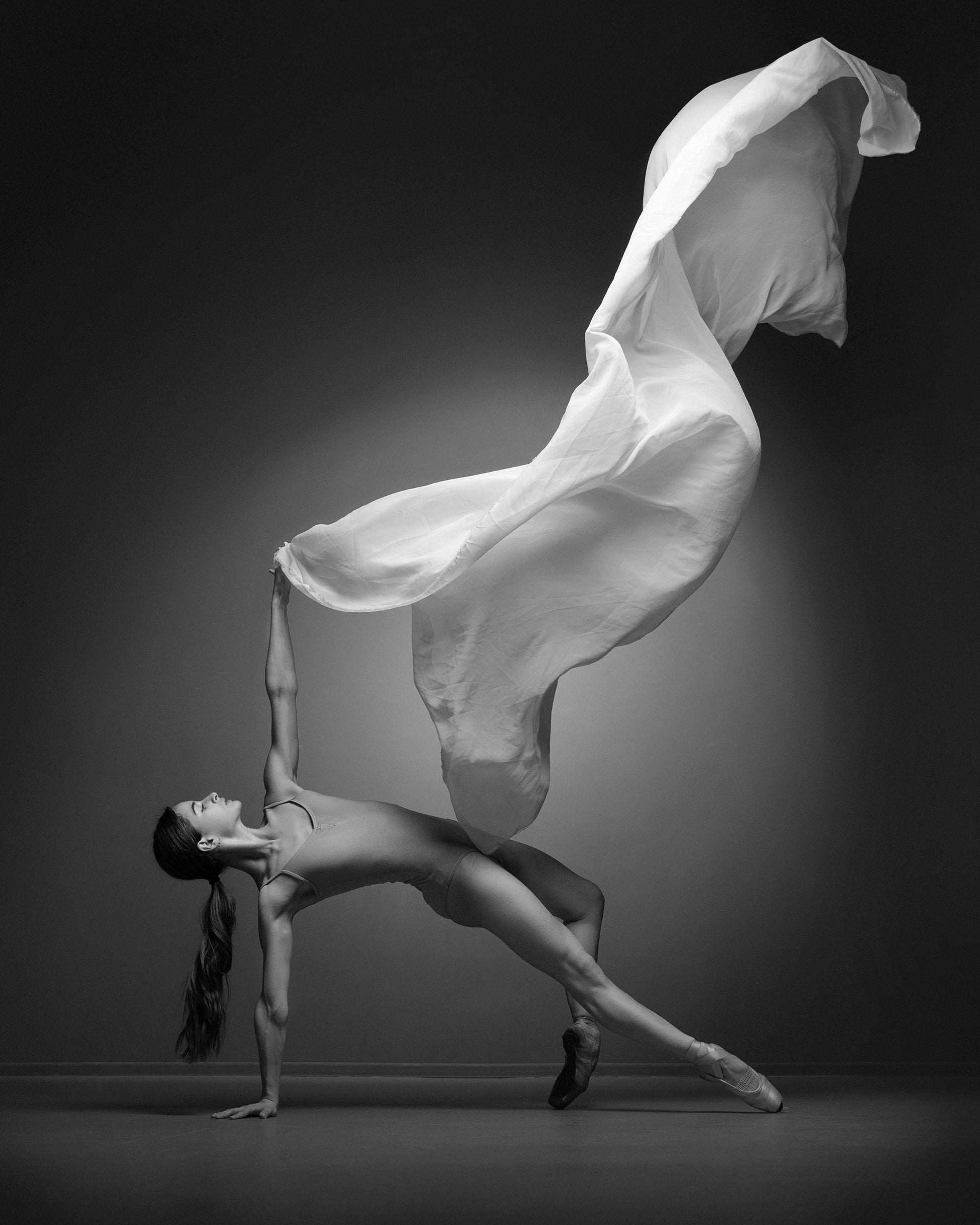 Art Of Movement Series - Poster / Art Print