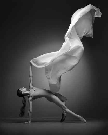 Art Of Movement Series - Poster / Art Print