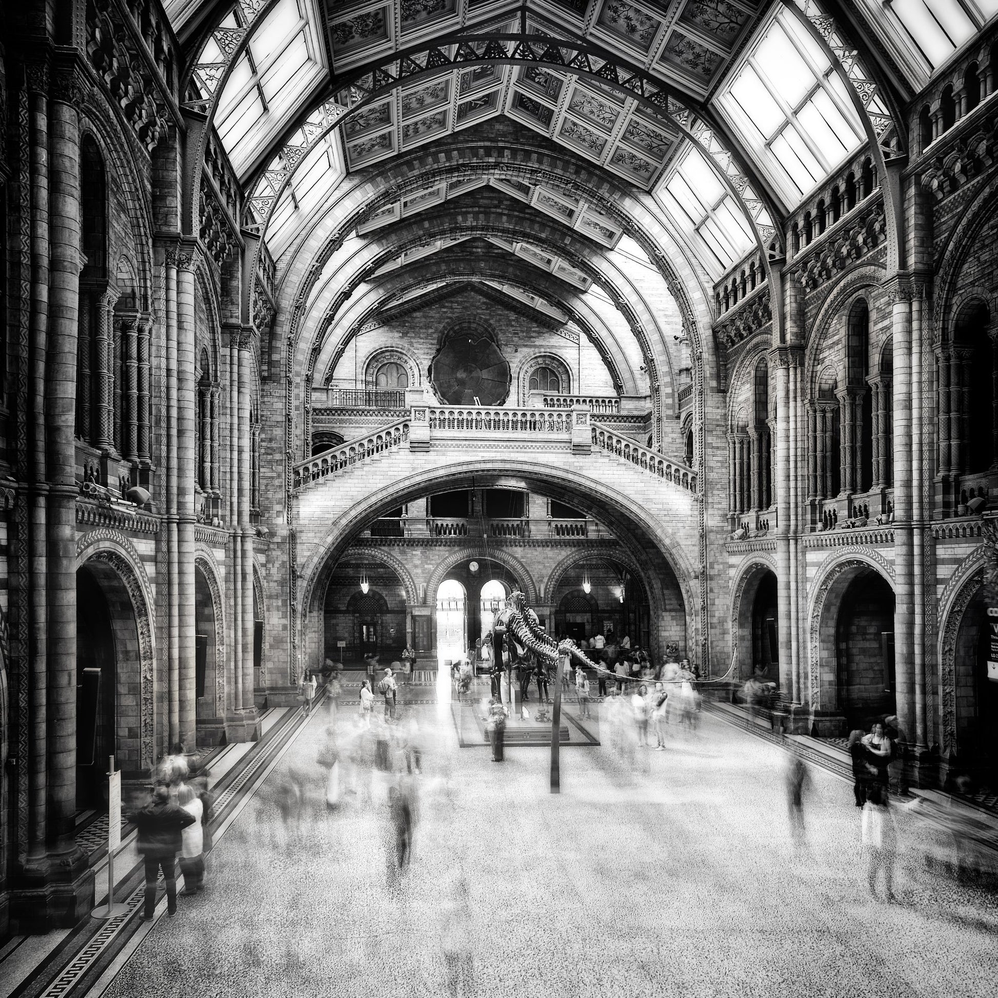 Natural History Museum of London - Poster / Art Print
