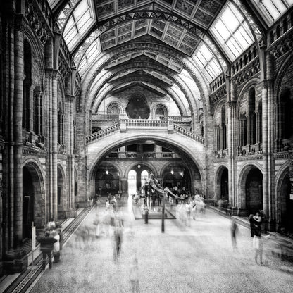 Natural History Museum of London - Poster / Art Print