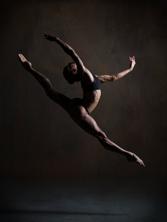 Elegance in the Dark - Poster / Art Print
