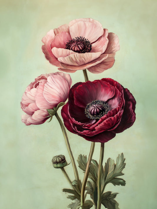 Peonies - Poster / Art Print