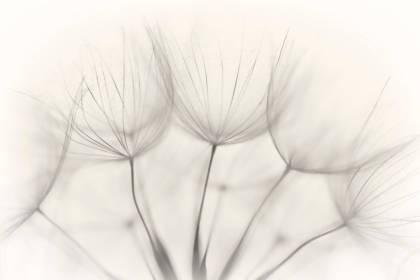 No title - Poster / Art Print