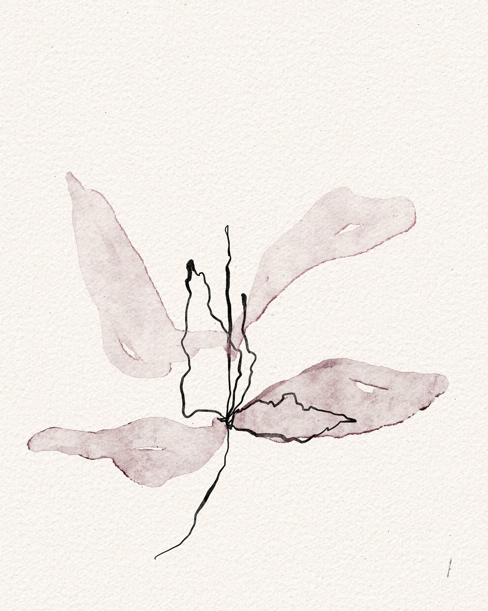 Delicate Petal Dance - Poster / Art Print