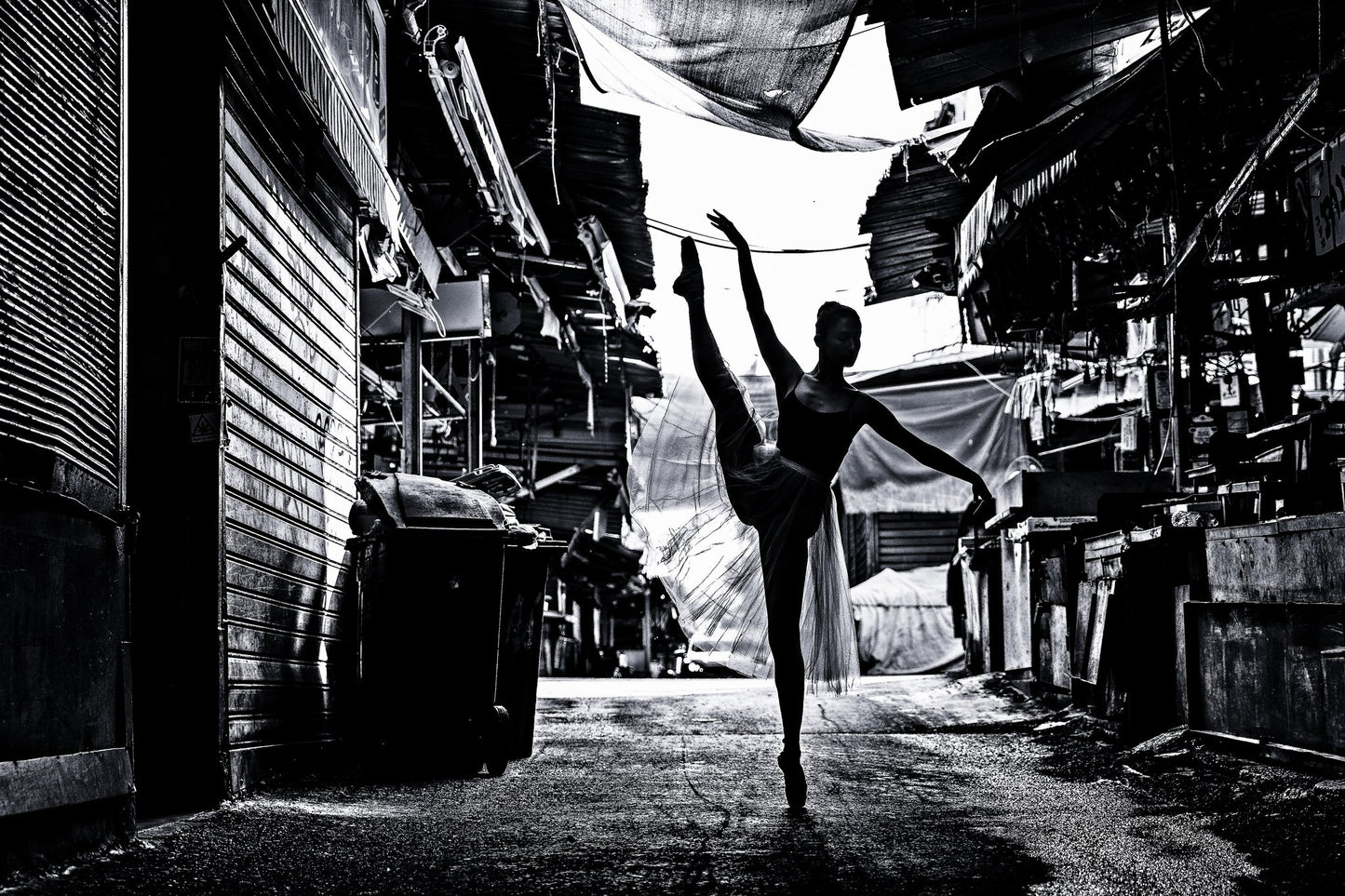 Dansar 4 - Poster / Art Print
