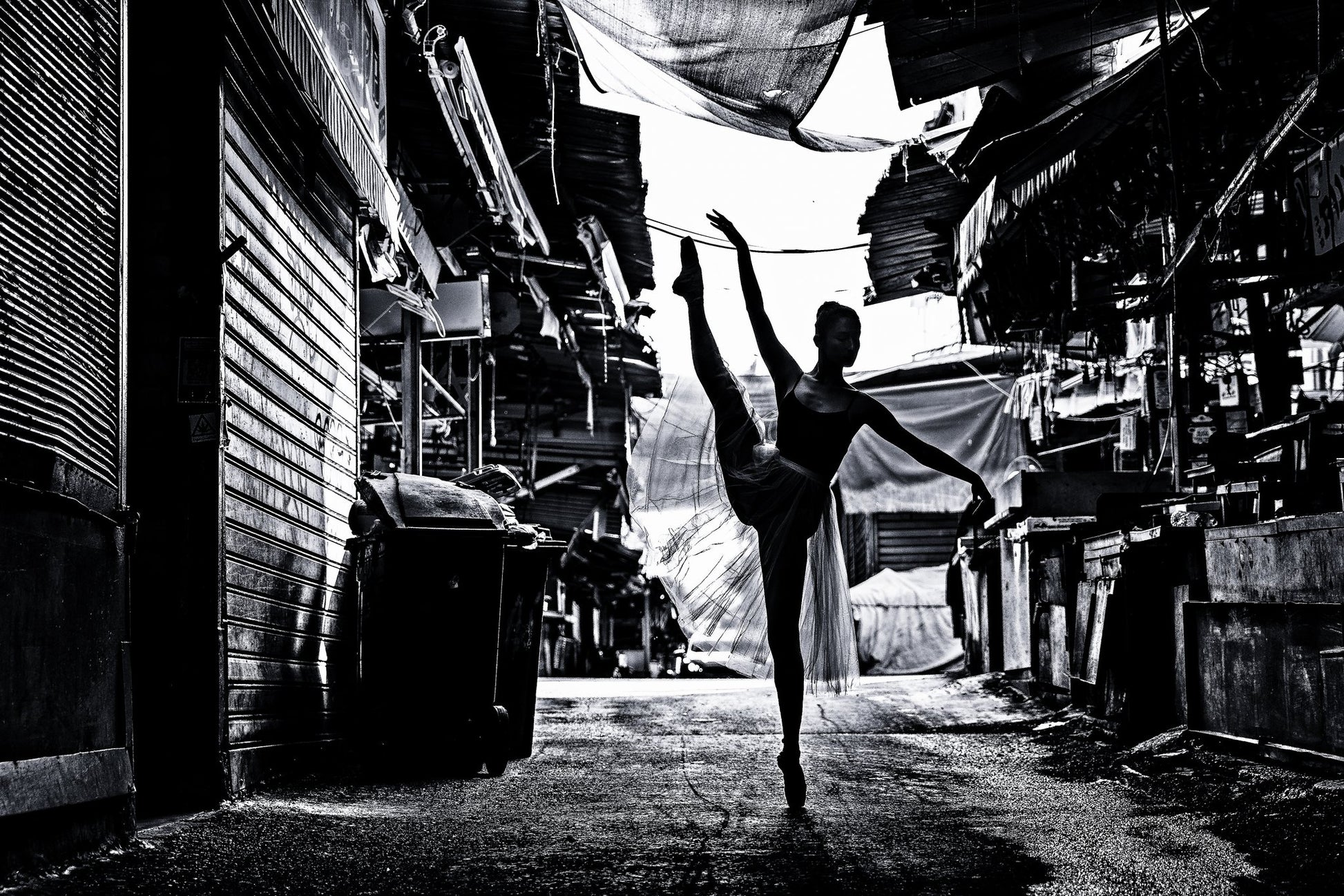 Dansar 4 - Poster / Art Print