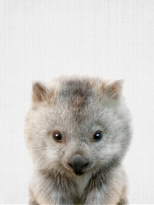 Peekaboo Baby Wombat - Poster / Art Print