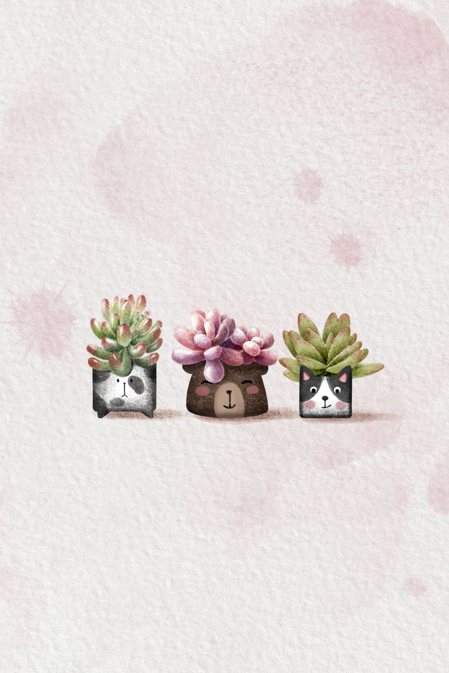 Cute Succulents - Poster / Art Print