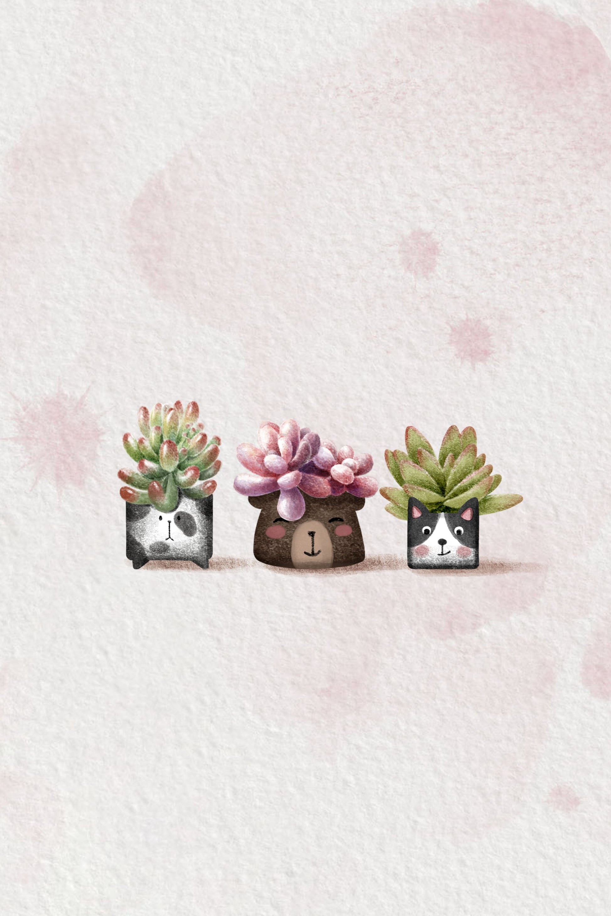 Cute Succulents - Poster / Art Print