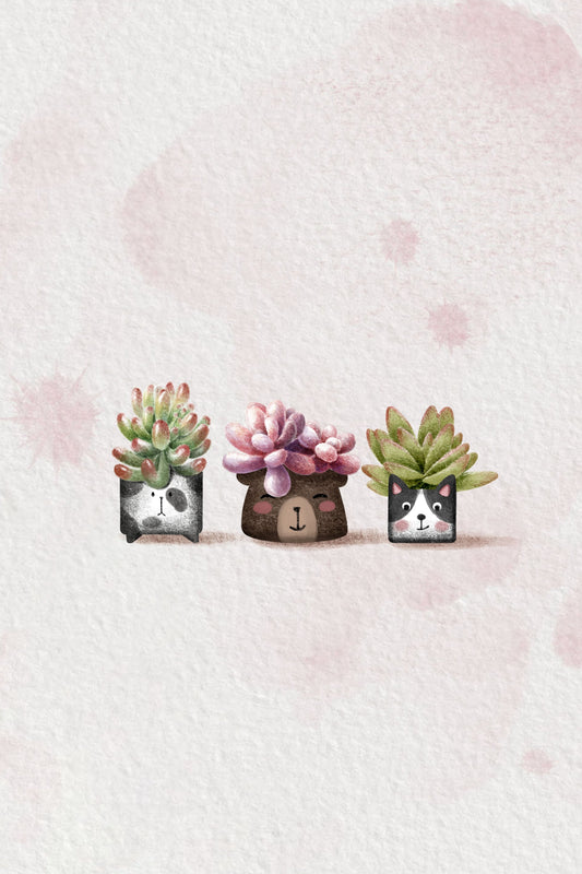 Cute Succulents - Poster / Art Print