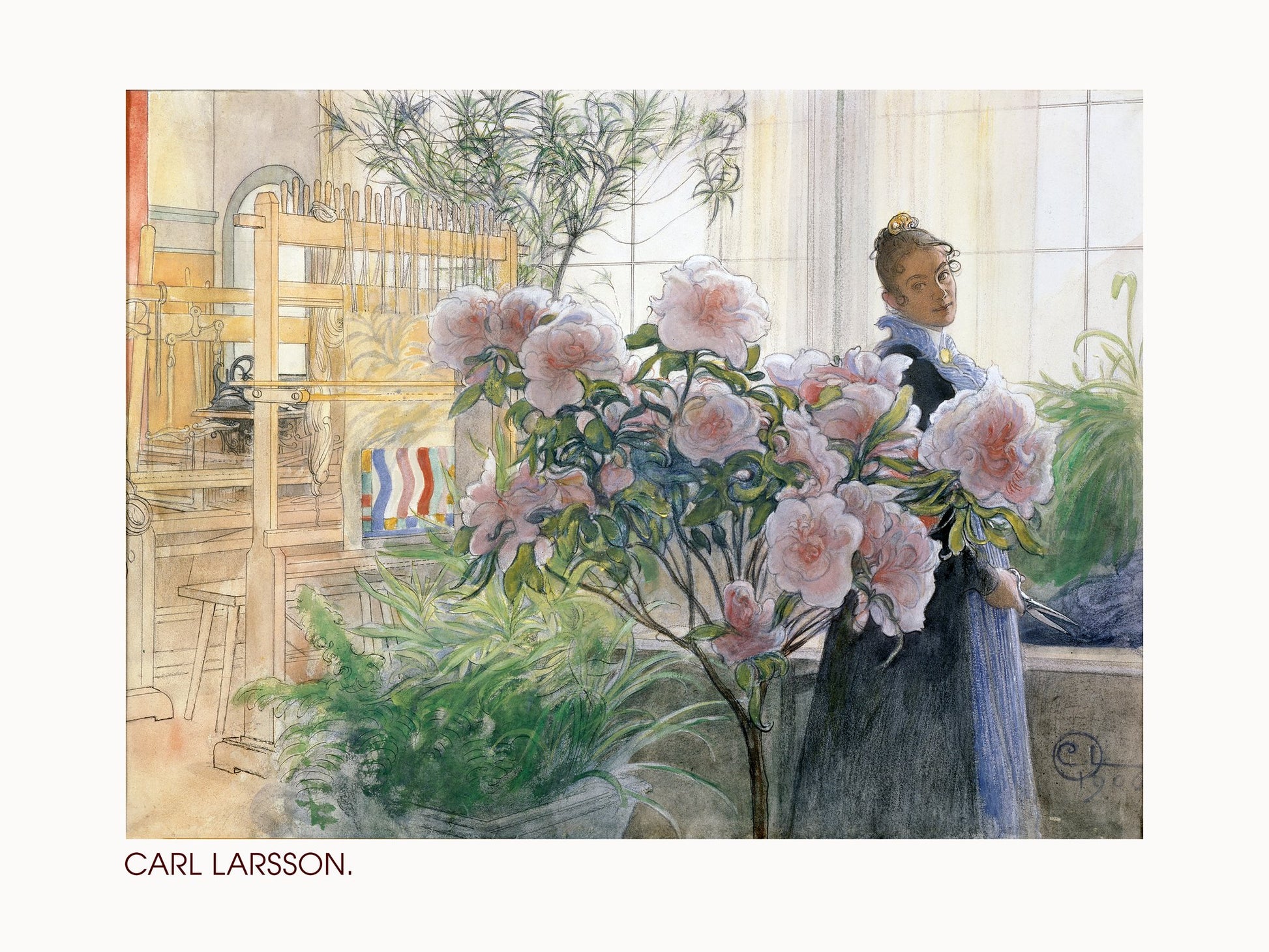 Azalea (1906) - Poster / Art Print
