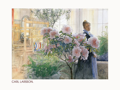 Azalea (1906) - Poster / Art Print