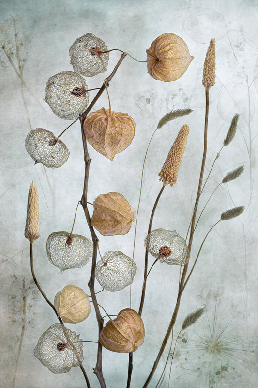 Lanterns* - Poster / Art Print