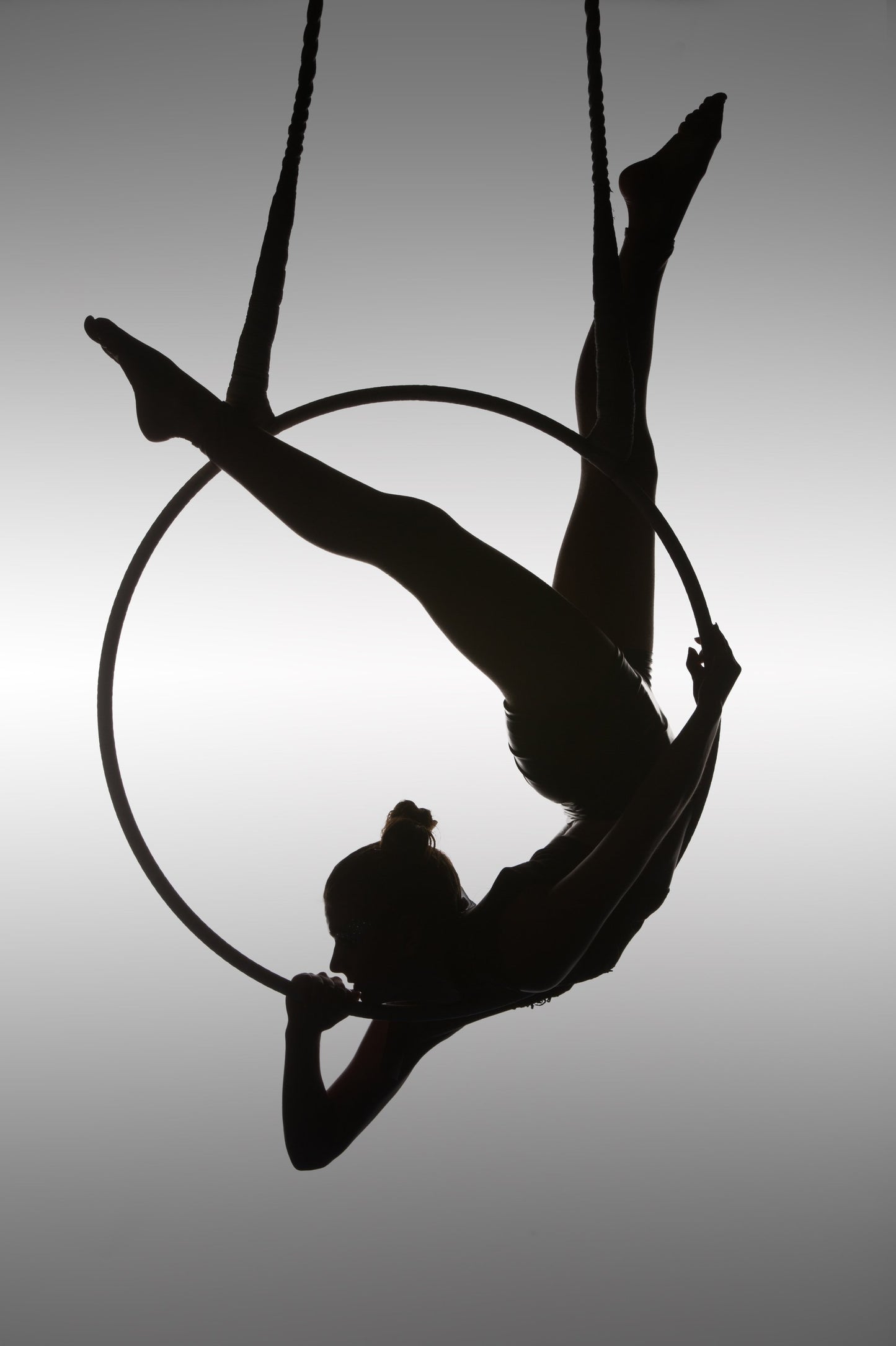 The Aerialist - Poster / Art Print