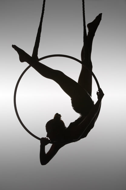 The Aerialist - Poster / Art Print
