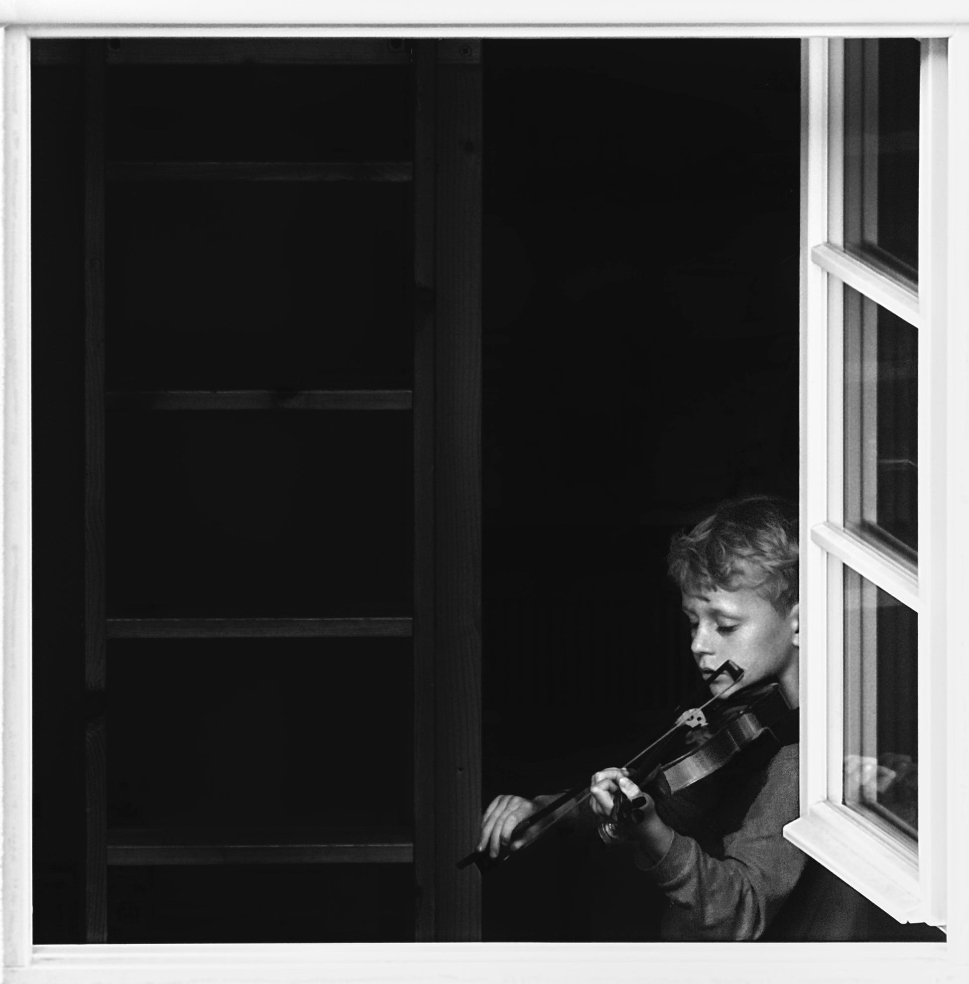 Violinist in the window - Poster / Art Print