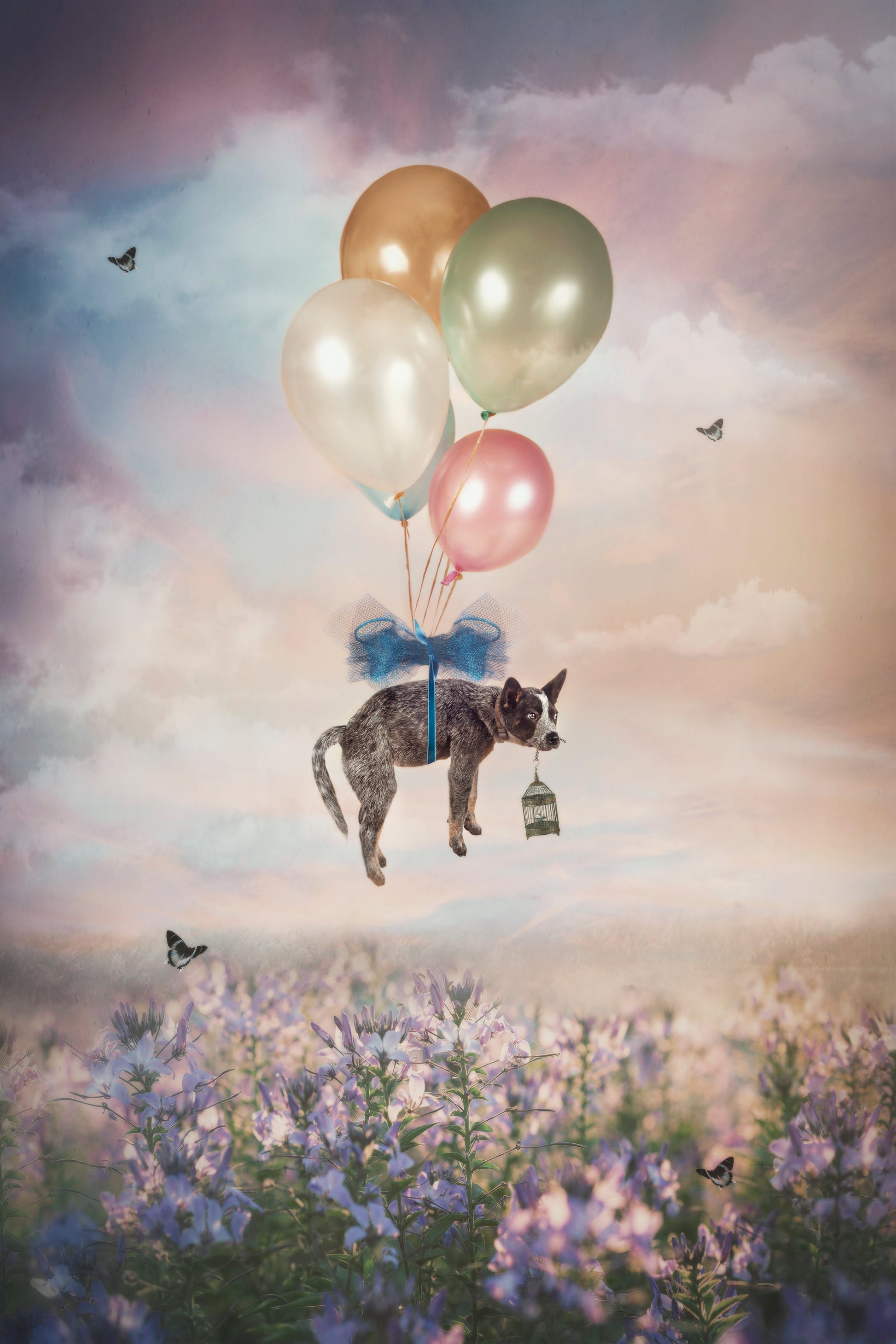 Ballongfärden - Poster / Art Print