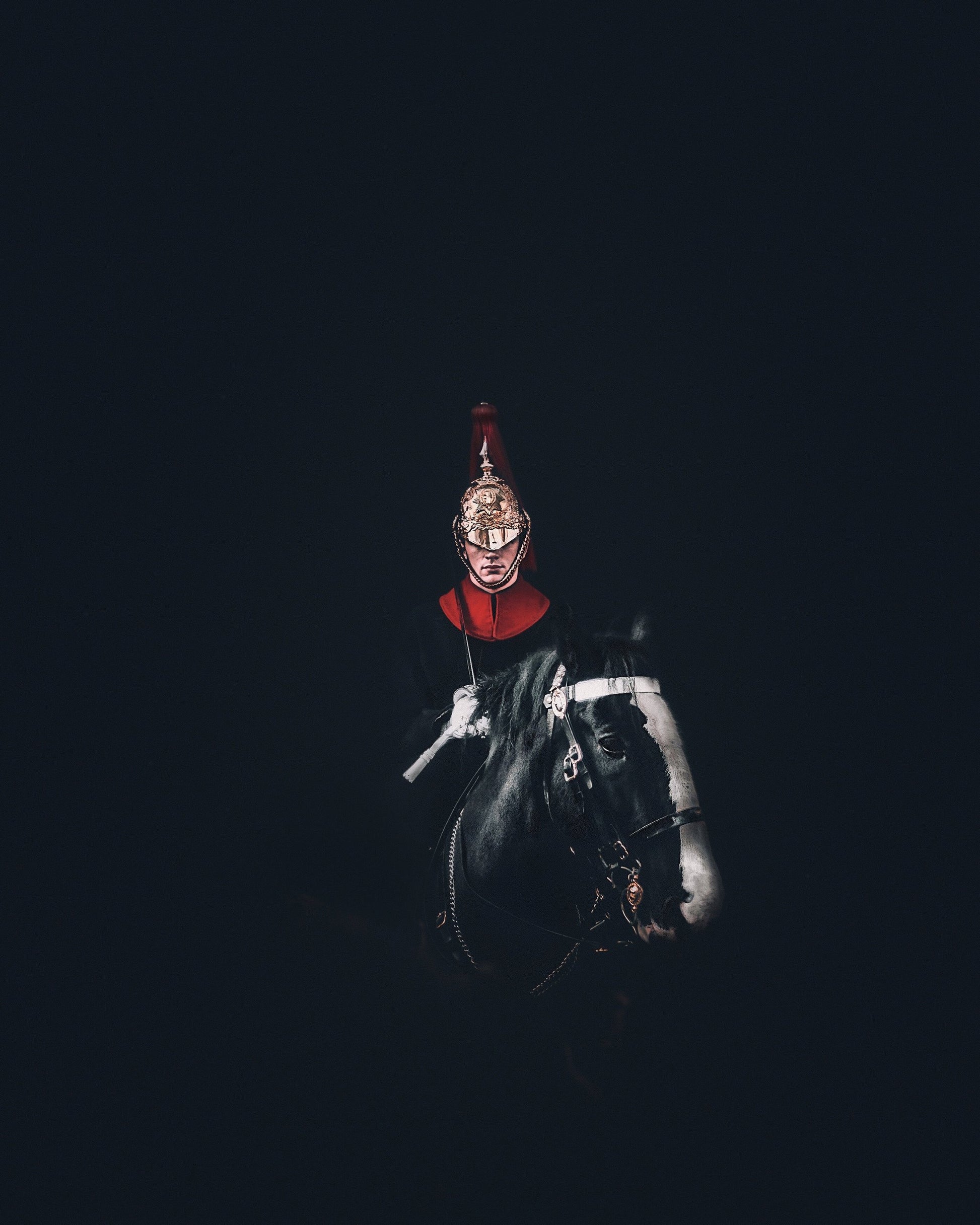 Horse Guard - Poster / Art Print