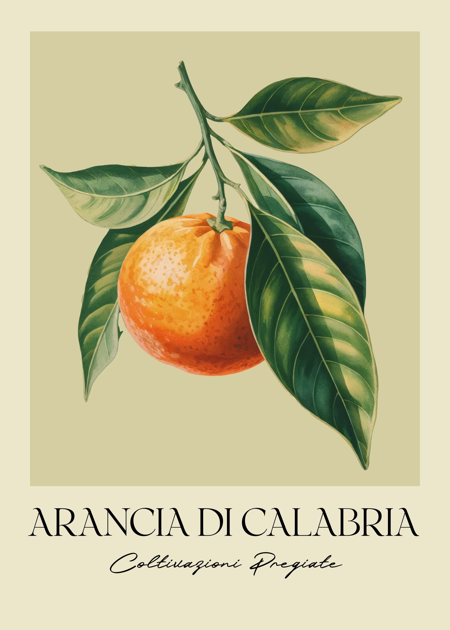 Arancia Di Calabria - Poster / Art Print