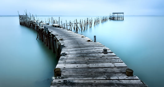 Carrasqueira II - Poster / Art Print