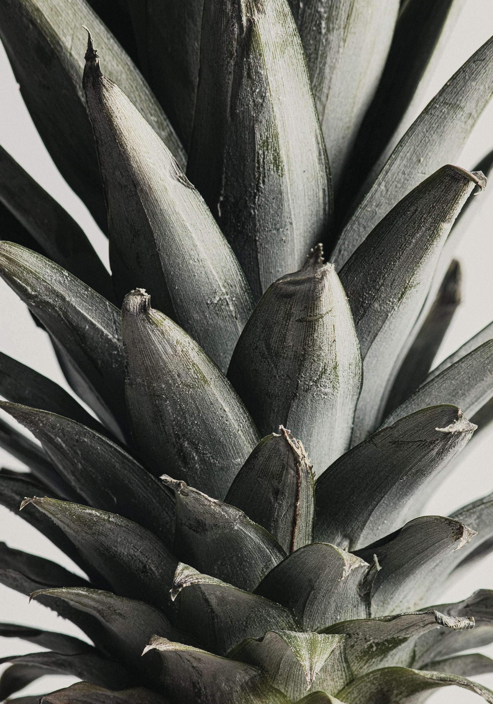Pineapple close up - Poster / Art Print