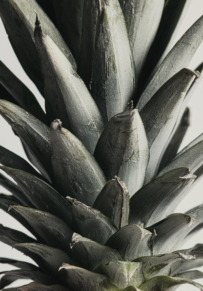 Pineapple close up - Poster / Art Print