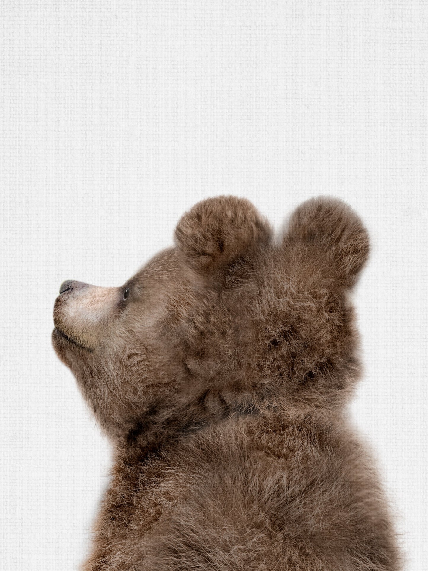 Peekaboo Baby Bear Back - Poster / Art Print