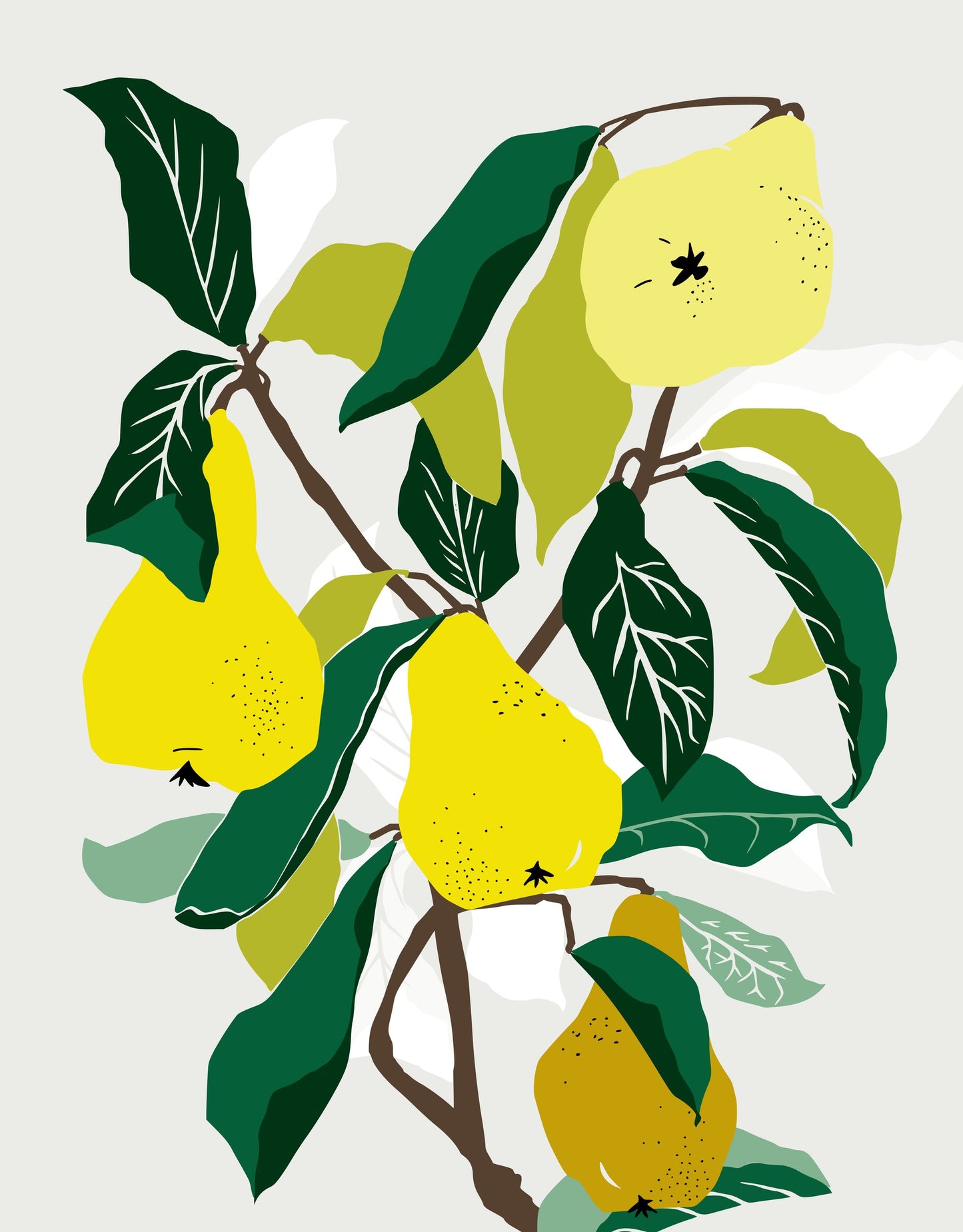 Yellow Pears - Poster / Art Print